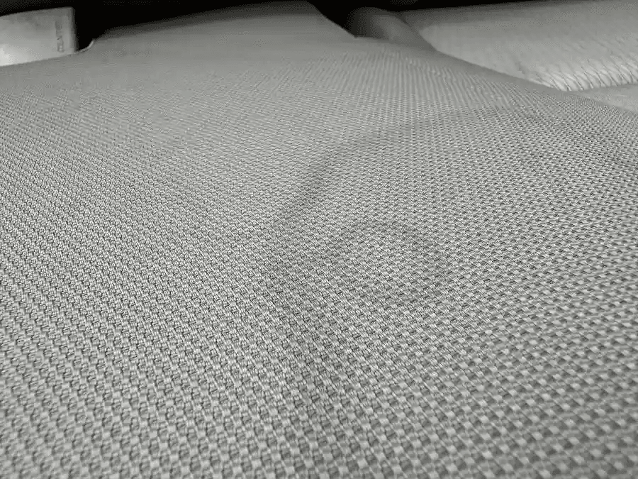 Organic Stain Treatment