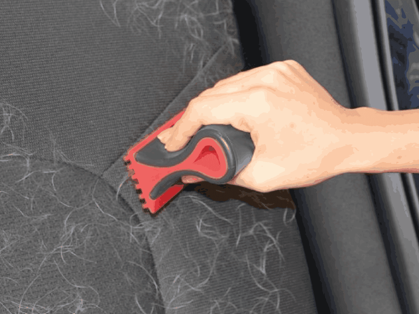 Pet Hair & Dander Removal